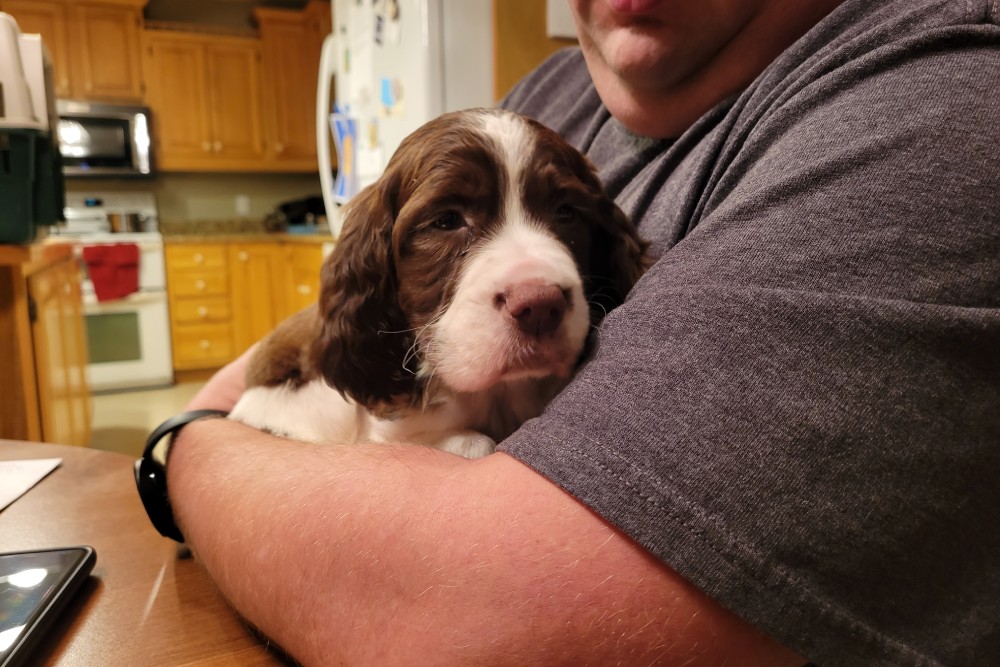 Pet AtHome Euthanasia In East Jordan, MI Pet Well Mobile